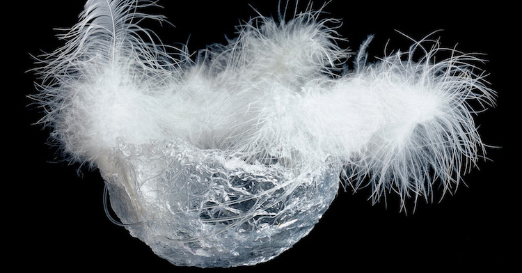 Featured-image-Kim-Thittichai-Cellophane-bowl-with-feathers-1022-wide-2005-